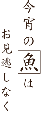 今宵の魚はお見逃しなく