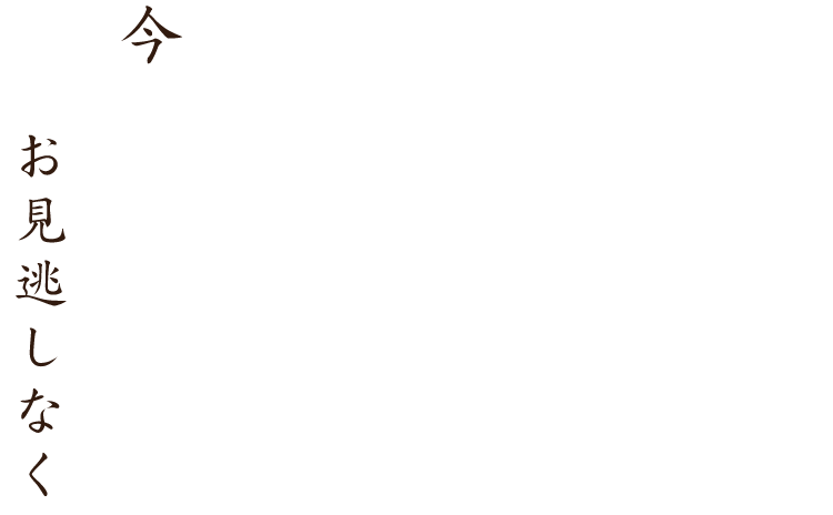 今宵の魚はお見逃しなく